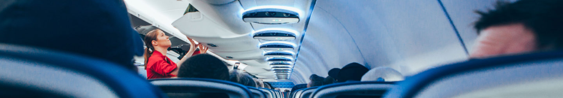 World Airline Survey